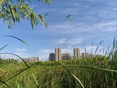 -永定河休闲森林公园