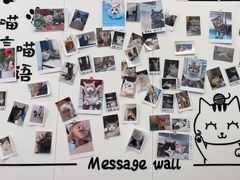 -瑞派·关忠动物医院·猫专科·犬专科(三环新城店)