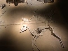 -洛阳周王城天子驾六博物馆