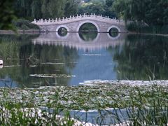 -国家植物园