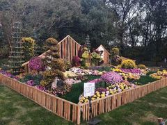 -上海共青森林公园