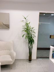 -苗方清颜·祛痘皮肤管理