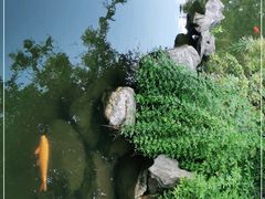 -杭州西子湖四季酒店-WL BISTRO西湖餐厅(灵隐路店)