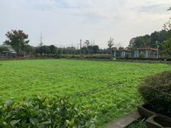 -洪湖家庭农场·团建·露营·会议