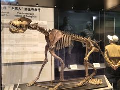 -北京周口店北京人遗址博物馆
