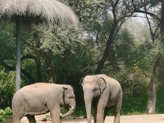 -北京野生动物园