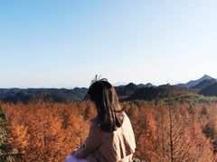 -山王坪喀斯特国家生态公园