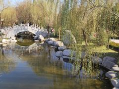 -西安青龙寺遗址景区