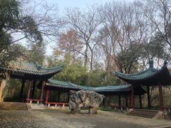 -赭山公园