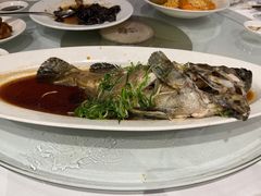 清蒸沙巴老虎斑-龙皇酒家(黄埔店)