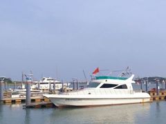 -渡海小渔村.老辈日照菜