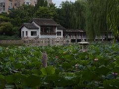 -团结湖公园
