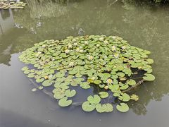 -西湖游船