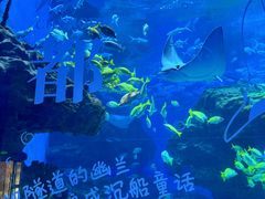 -海合安成都极地海洋公园