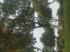 -羊山湖公园