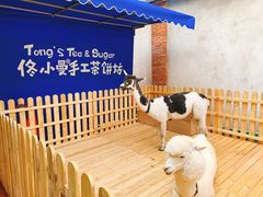-佟小曼手工茶饼坊(鼓浪屿1店)