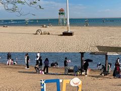 -碧海金沙