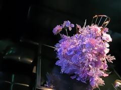 -黑桃K生日订制KTV