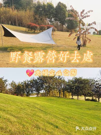 来这棵芭蕉树下野餐露营吧重庆/小众打卡地