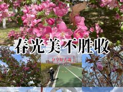 -长白岛森林公园