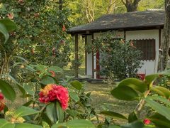 -深圳国际园林花卉博览园