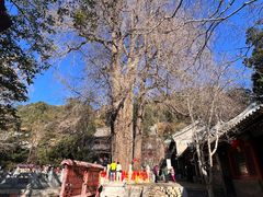 -潭柘寺景区