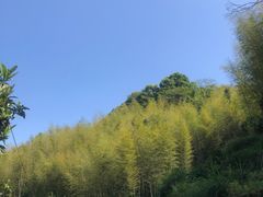 -粤陶渊.DIY陶艺体验馆(粤陶总店)