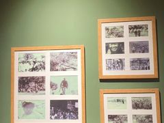 -西安电影制片厂