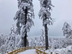 -瓦屋山景区