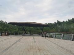 -大亚湾红树林城市湿地公园