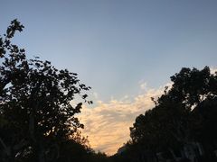 -碧云别墅南区