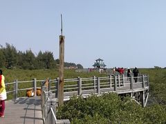 -北海金海湾红树林生态旅游区