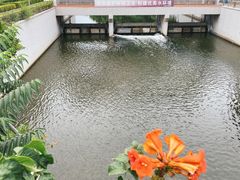 -过山风酒楼(白云观街北里小区店)
