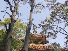 -赭山公园