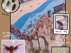 -陕西自然博物馆