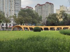 -黑龙江中医药大学