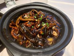 淮扬炒软兜-扬州狮子楼·非遗淮扬菜(东关街店)