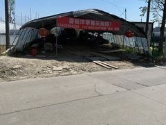 -喜杨洋草莓采摘园