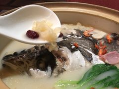 -羡餐厅·杭帮菜·淳菜(千岛湖自由洲际殿店)