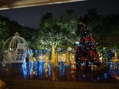-上海浦东星河湾酒店