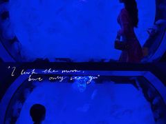 -沈阳海洋探索中心