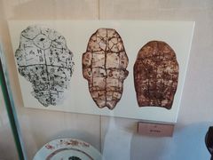 -北京动物园-畅观楼