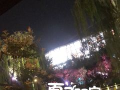 -Malena玛莲娜
