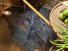 -石岐佬中山菜馆(张溪店)