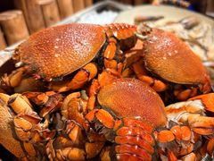 -西藏饭店·亚克·食光自助餐厅