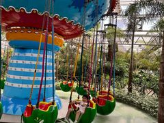 -南宫五洲植物乐园