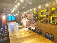 -1819餐厅·团队聚餐·烤串·精酿