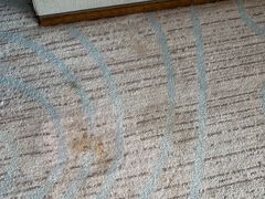 -舟山希尔顿酒店