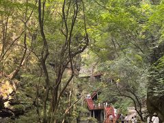 -牛背梁国家森林公园