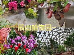 -上海辰山植物园